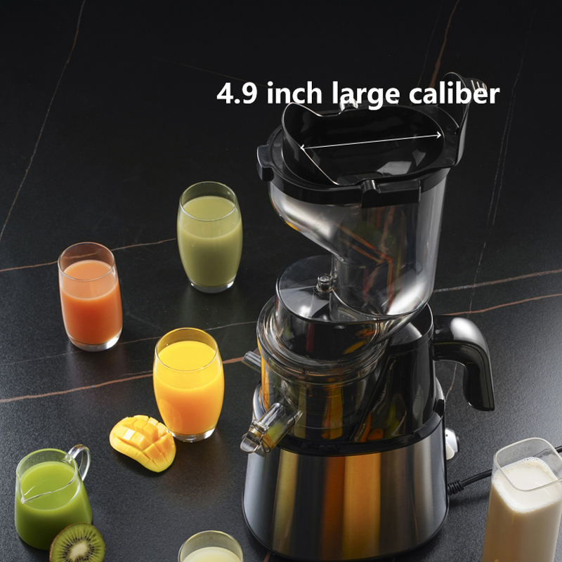 Extracteur de jus de fruits et - Electric Slow Juicer Cold Press avis et prix