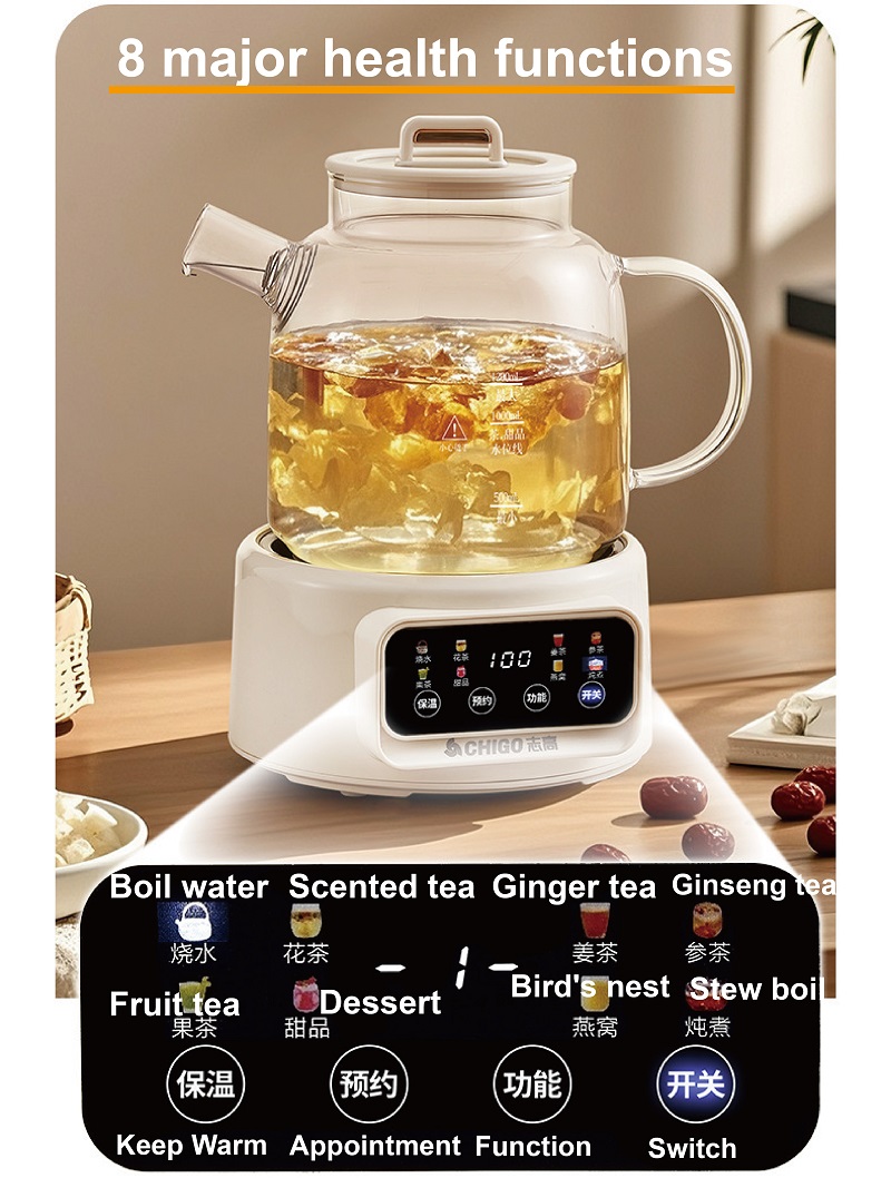 Bouilloire Électrique Multifon - Electric Kettle Temperature Control avis et prix